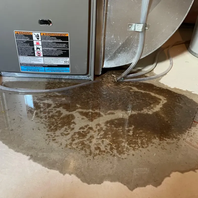 Appliance Leak Cleanup in Hickman, NE